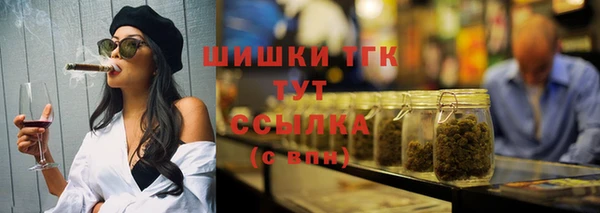 mdpv Бородино
