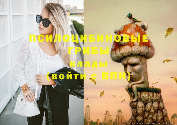 герыч Бронницы