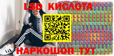 jwh Гусев