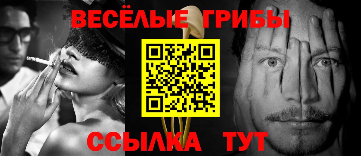 Калуга  Псилоцибиновые грибы Psilocybine cubensis  Вход с VPN  Галлюциногенные грибы GOLDEN TEACHER 